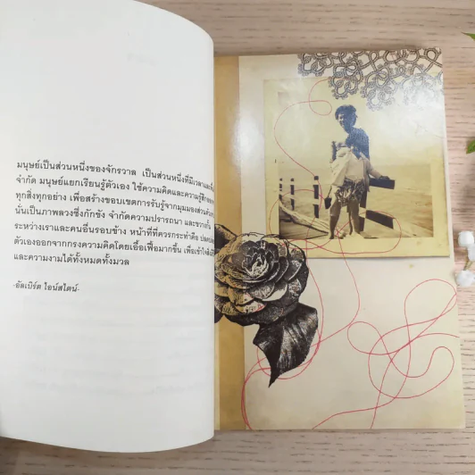 ผ่าความดัง พ.ญ.คุณหญิงพรทิพย์ โรจนสุนันท์ รูปที่ 11