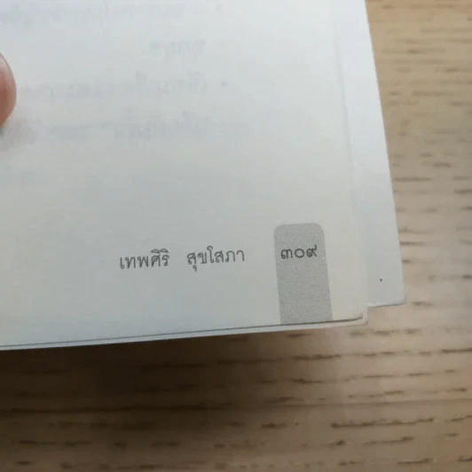 บึงหญ้าป่าใหญ่ - เทพศิริ สุขโสภา รูปที่ 10