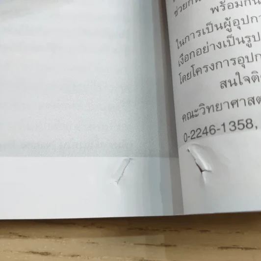 ดวงใจแห่งไพรพฤกษ์ - ดวงดาว สุวรรณรังษี รูปที่ 12