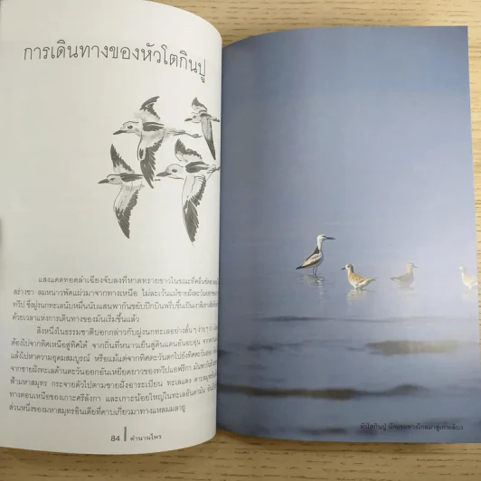 ดวงใจแห่งไพรพฤกษ์ - ดวงดาว สุวรรณรังษี รูปที่ 10