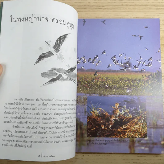 ดวงใจแห่งไพรพฤกษ์ - ดวงดาว สุวรรณรังษี รูปที่ 9