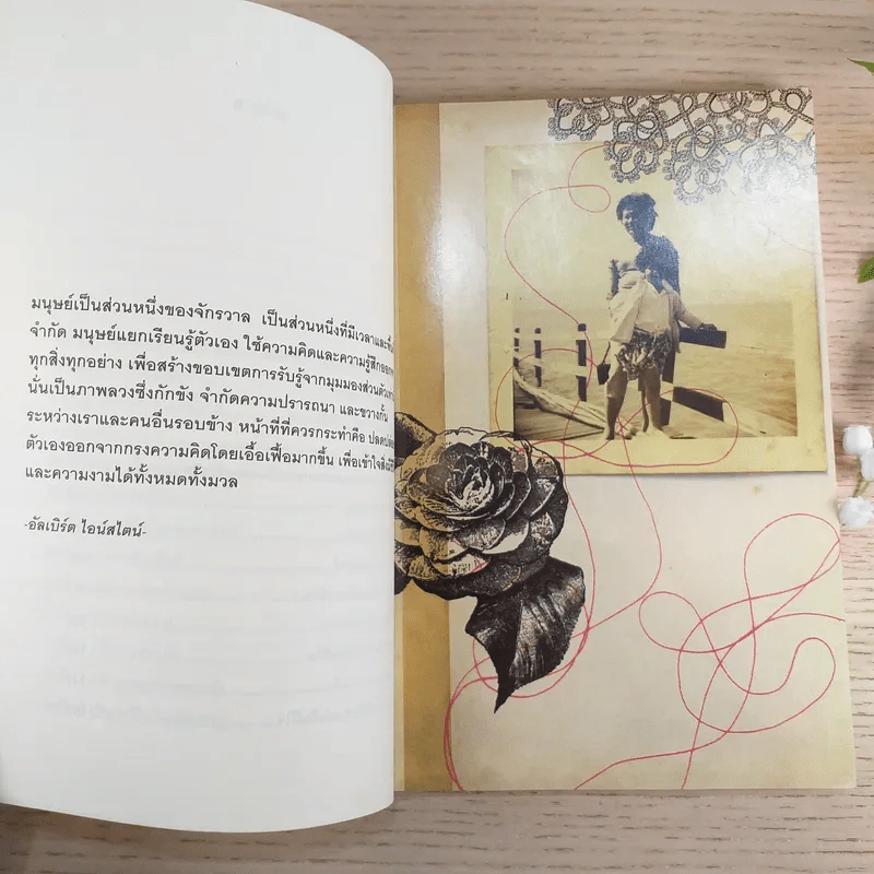 ผ่าความดัง พ.ญ.คุณหญิงพรทิพย์ โรจนสุนันท์ รูปที่ 11