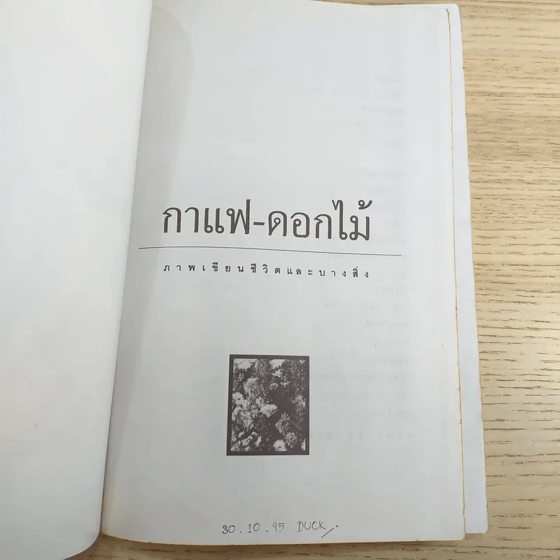 กาแฟ-ดอกไม้ ภาพเขียนชีวิตและบางสิ่ง รูปที่ 7