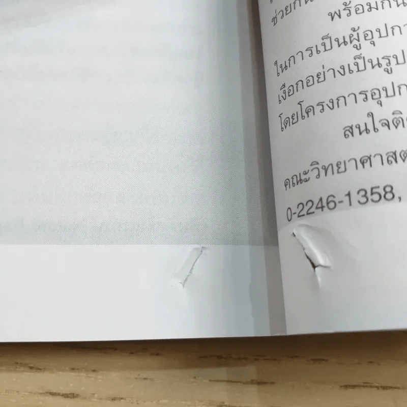 ดวงใจแห่งไพรพฤกษ์ - ดวงดาว สุวรรณรังษี รูปที่ 12