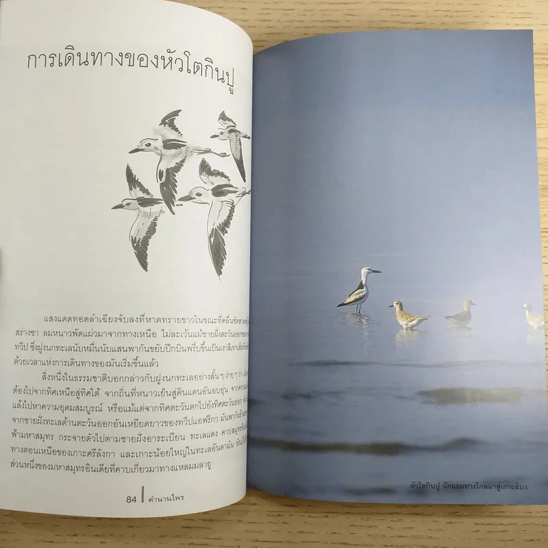 ดวงใจแห่งไพรพฤกษ์ - ดวงดาว สุวรรณรังษี รูปที่ 10