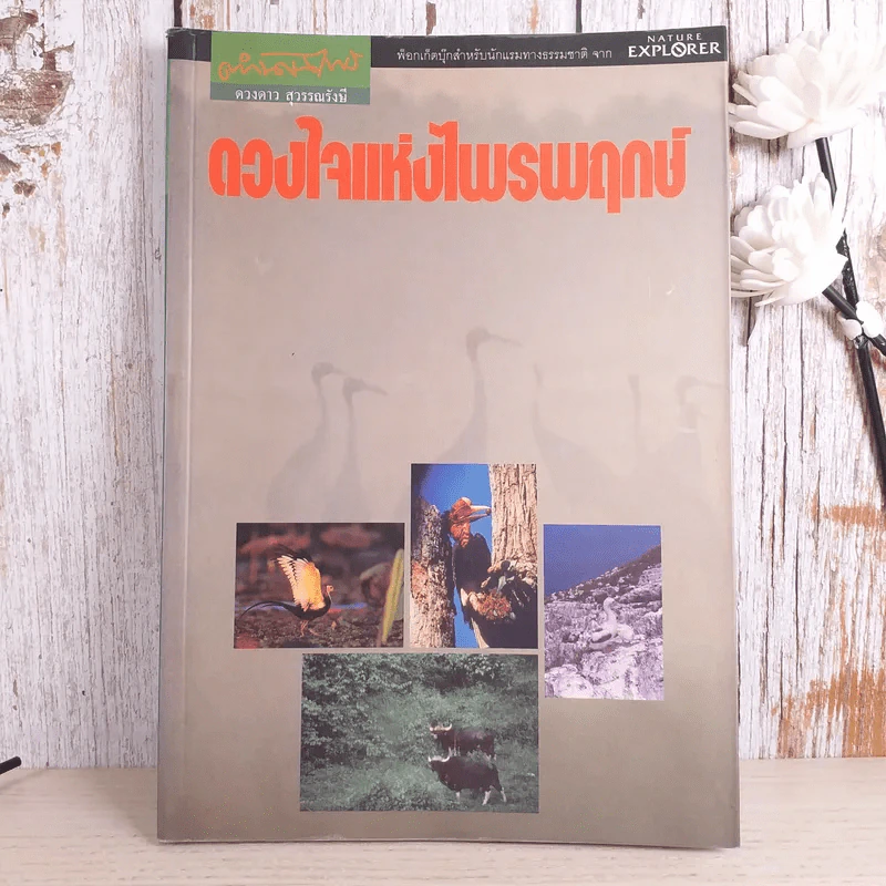 ดวงใจแห่งไพรพฤกษ์ - ดวงดาว สุวรรณรังษี รูปที่ 1