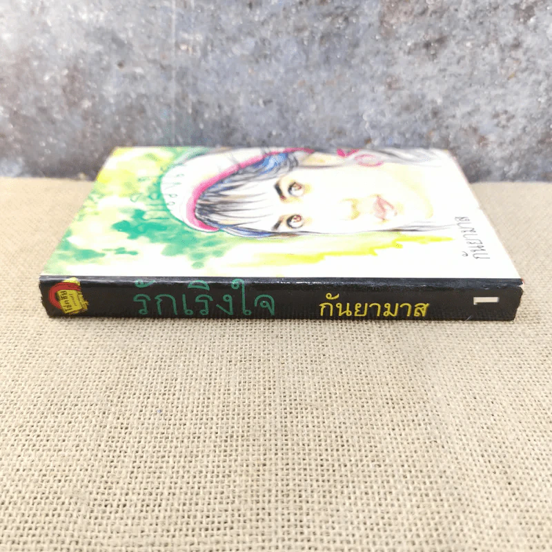รักเริงใจ เล่ม 1 - กันยามาส รูปที่ 2