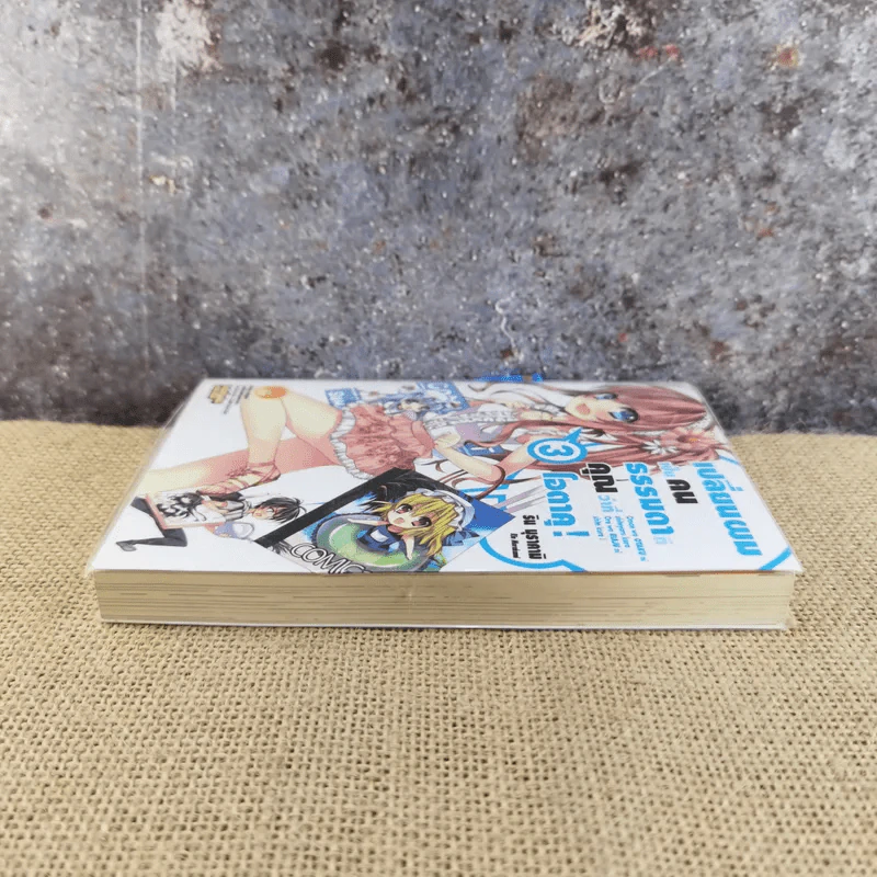 เปลี่ยนผมเป็นคนธรรมดาทีคุณว่าที่โอตาคุ เล่ม 3 รูปที่ 3
