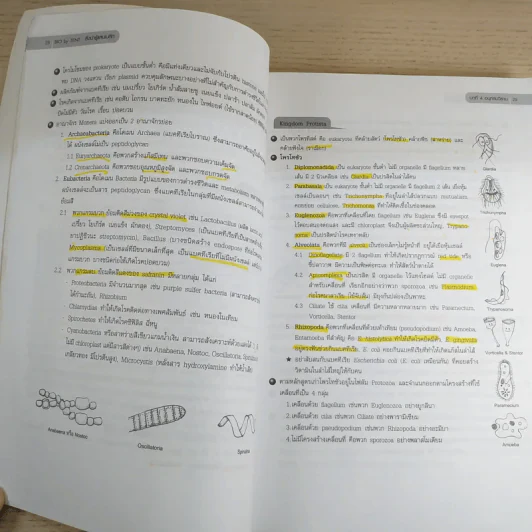 ชีววิทยา Biology for high school students - จิรัสย์ เจนพาณิชย์ รูปที่ 14