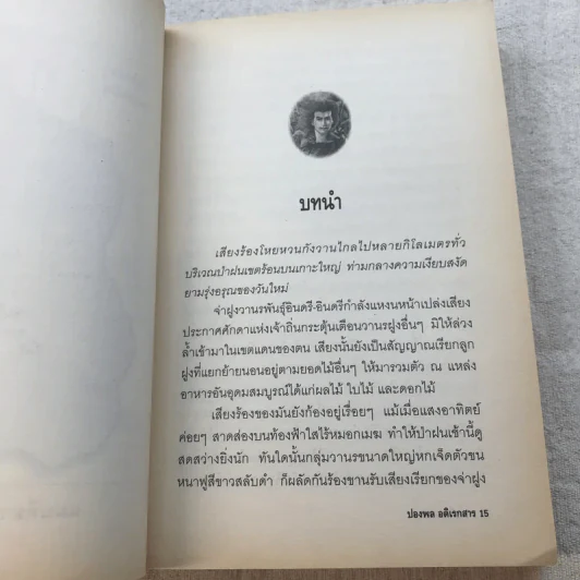 คามีเลี่ยนแมน ซูเปอร์ฮีโร่แห่งป่าหินมาดากัสการ์ - ปองพล อดิเรกสาร รูปที่ 10