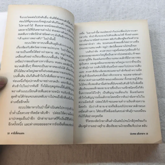 คามีเลี่ยนแมน ซูเปอร์ฮีโร่แห่งป่าหินมาดากัสการ์ - ปองพล อดิเรกสาร รูปที่ 12