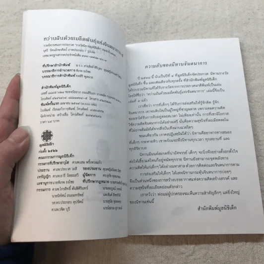 หว่านฝันด้วยเมล็ดพันธุ์แห่งจินตนาการ ครั้งที่ 4 รูปที่ 7