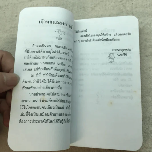 จิ๊จ๊ะ เจ๊าะแจ๊ะ - นายธีร์ รูปที่ 7