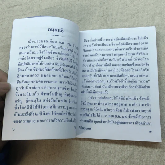 ตำรับยาสมุนไพร ของพระธรรมสิงหบุราจารย์ (หลวงพ่อจรัญ) รูปที่ 6