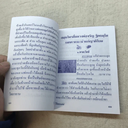 ตำรับยาสมุนไพร ของพระธรรมสิงหบุราจารย์ (หลวงพ่อจรัญ) รูปที่ 10