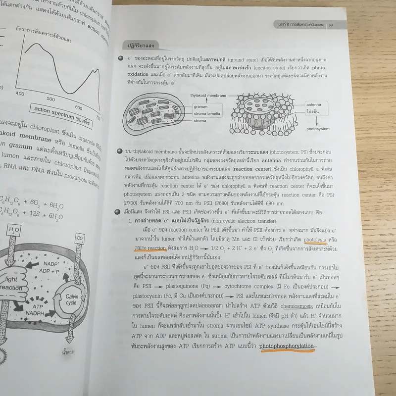 ชีววิทยา Biology for high school students - จิรัสย์ เจนพาณิชย์ รูปที่ 12