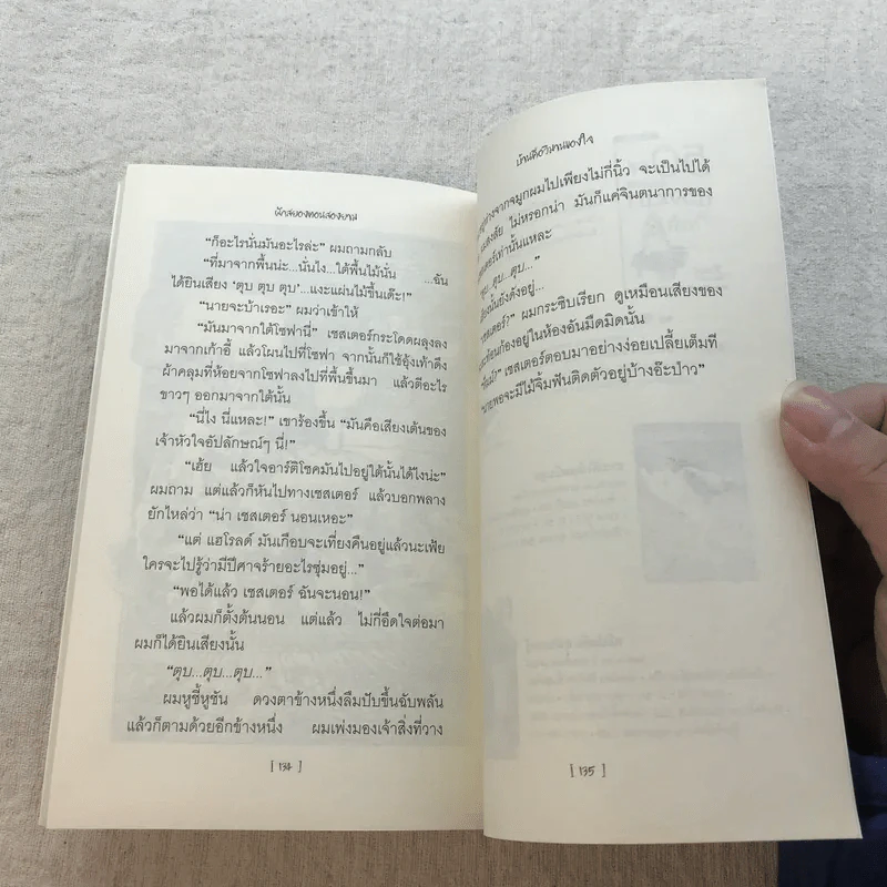 บันนีคิวลา Box Set บันนีคิวลา, ผักสยองตอนสองยาม, หอนลิเดย์อินน์ รูปที่ 20