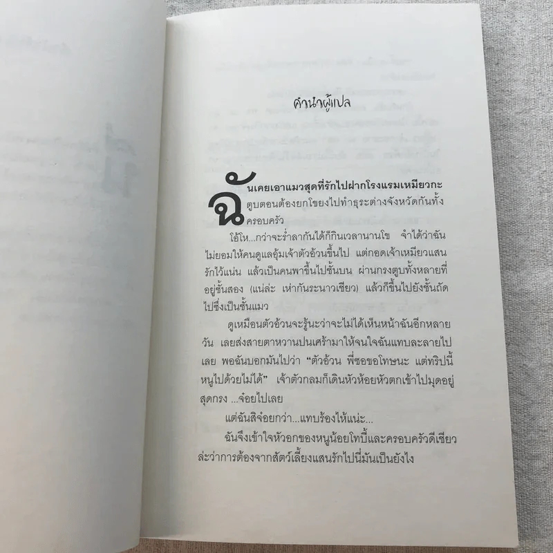 บันนีคิวลา Box Set บันนีคิวลา, ผักสยองตอนสองยาม, หอนลิเดย์อินน์ รูปที่ 12