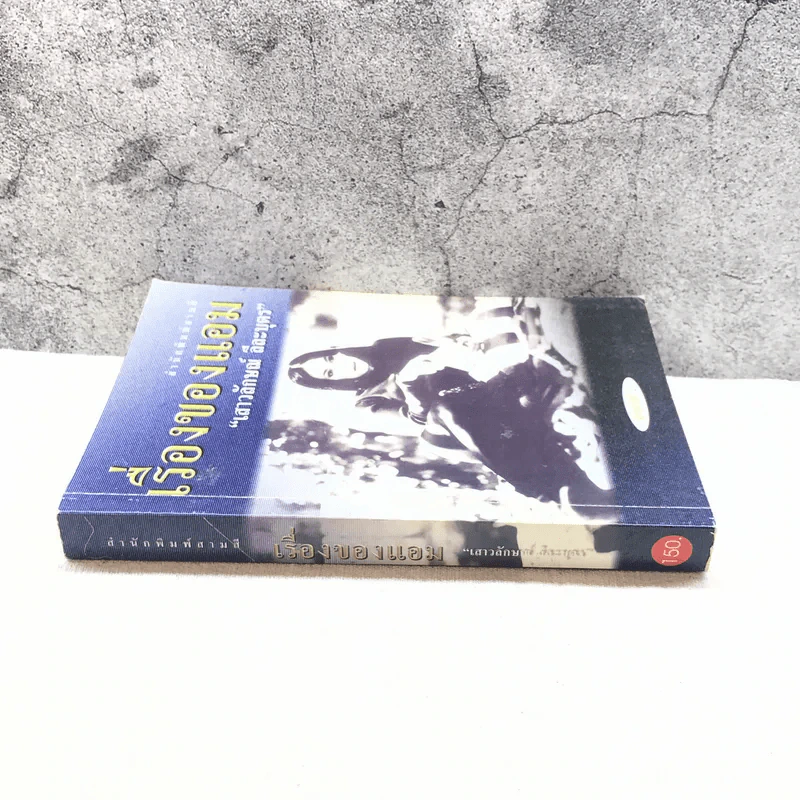 เรื่องของแอม - แอม เสาวลักษณ์ ลีละบุตร รูปที่ 2