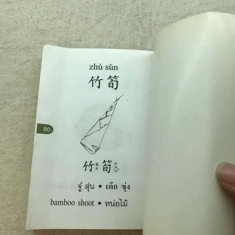 ศัพท์จีน-อังกฤษ-ไทย 1 ชุดผลไม้และผัก - สุภาณี ปิยพสุนทรา รูปที่ 7