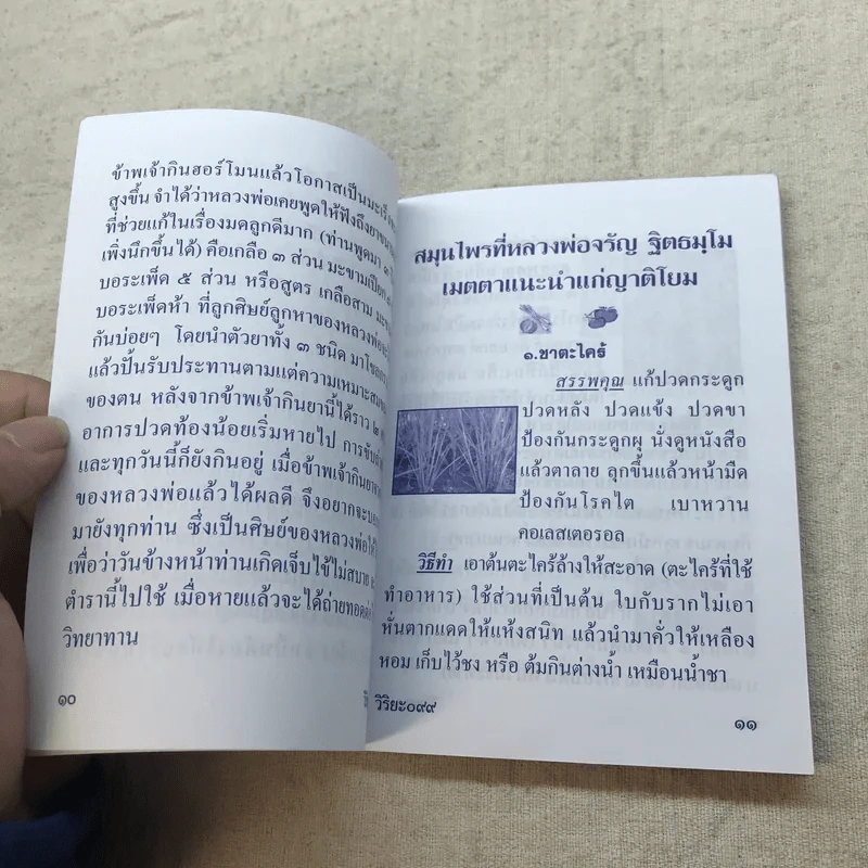 ตำรับยาสมุนไพร ของพระธรรมสิงหบุราจารย์ (หลวงพ่อจรัญ) รูปที่ 10