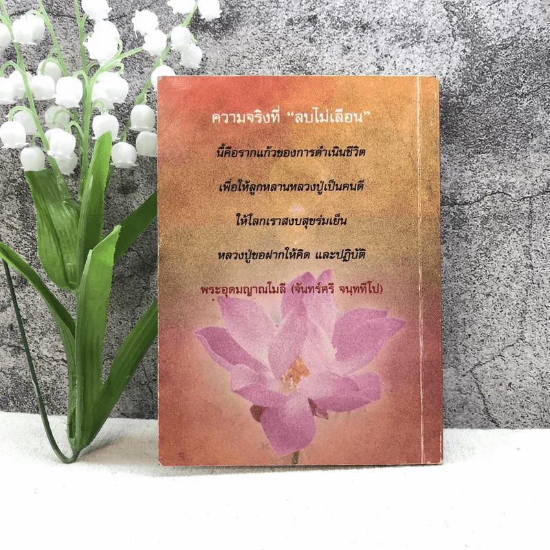 หลวงปู่ฝากไว้ ความจริงที่ลบไม่เลือน - พระอุดมญาณโมลี (หลวงปู่จันทร์ศรี จนททีโป) รูปที่ 11