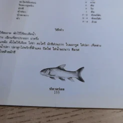 ปลาอร่อย - สำนักพิมพ์แสงแดด รูปที่ 14