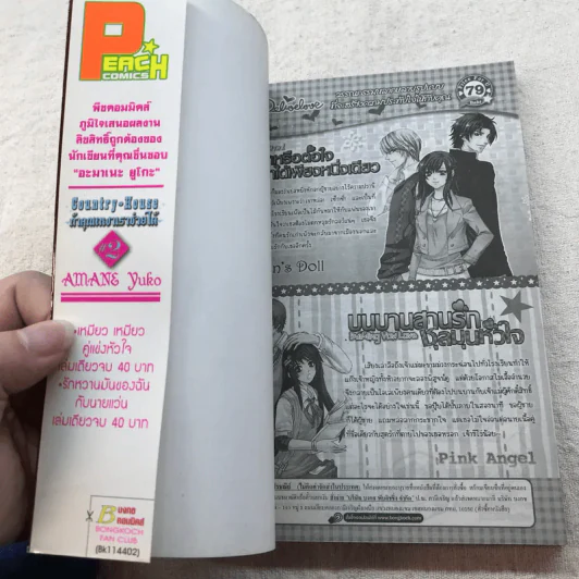 Country House ถ้าคุณเหงาเราช่วยได้ 3 เล่มจบ - Amane Yuko รูปที่ 12