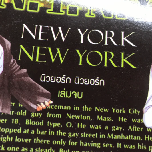 New York New York นิวยอร์ก นิวยอร์ก 4 เล่มจบ รูปที่ 3