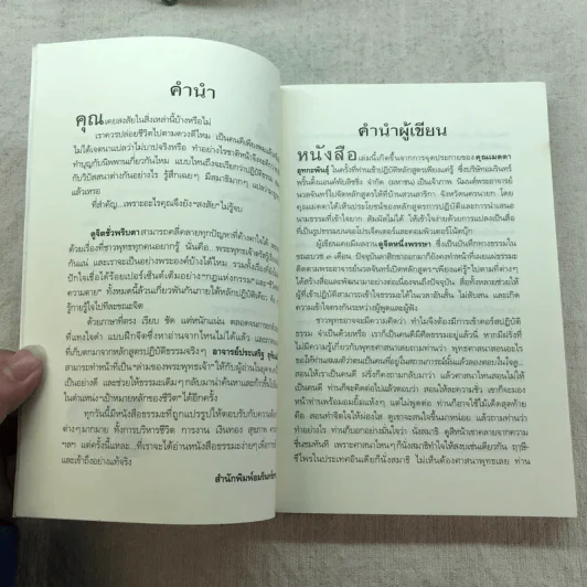 ดูจิตชั่วพริบตา - ปัญญาวโรภิกขุ (ประเสริฐ อุทัยเฉลิม) รูปที่ 8