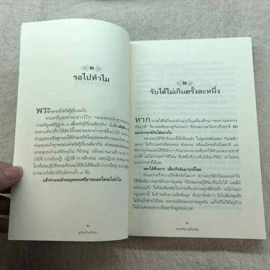 ดูจิตชั่วพริบตา - ปัญญาวโรภิกขุ (ประเสริฐ อุทัยเฉลิม) รูปที่ 11
