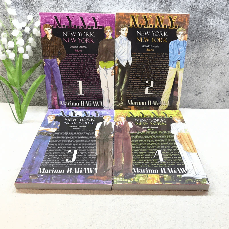 New York New York นิวยอร์ก นิวยอร์ก 4 เล่มจบ รูปที่ 1