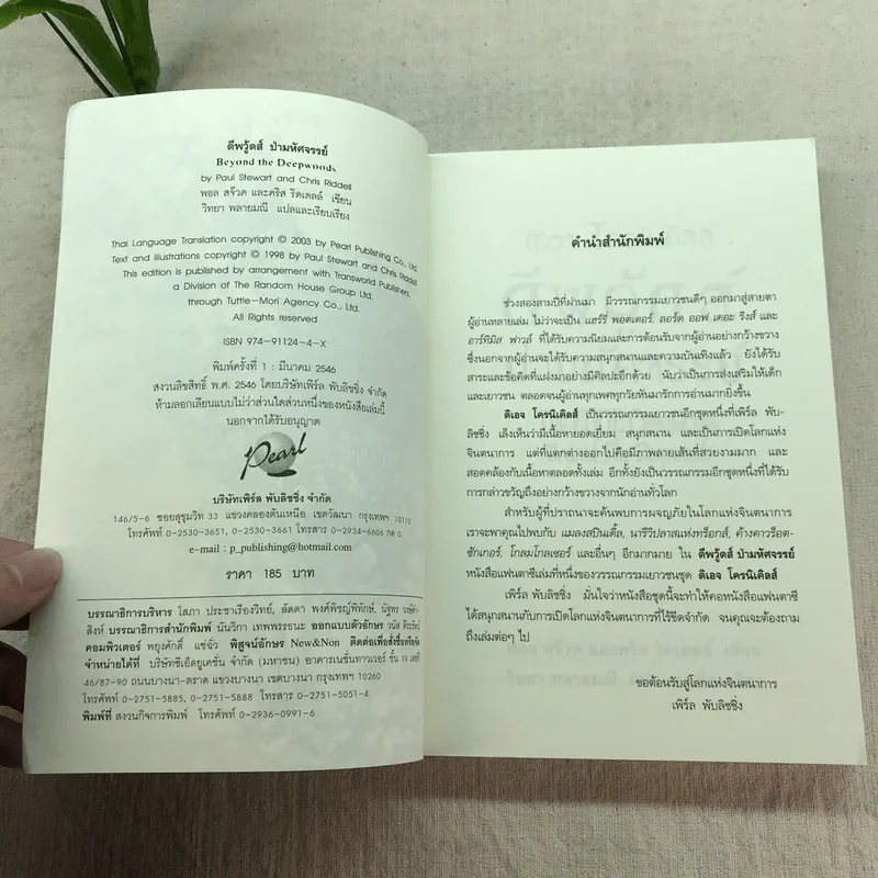 ดีพวู้ดส์ ป่ามหัศจรรย์ + นาวาล่าพายุ รูปที่ 21