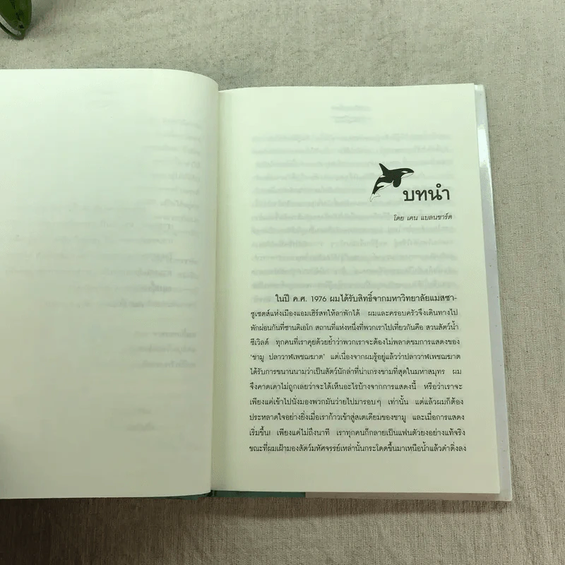 วาฬบอกเยี่ยม Whale Done! พลังแห่งความสัมพันธภาพด้านบวก รูปที่ 8