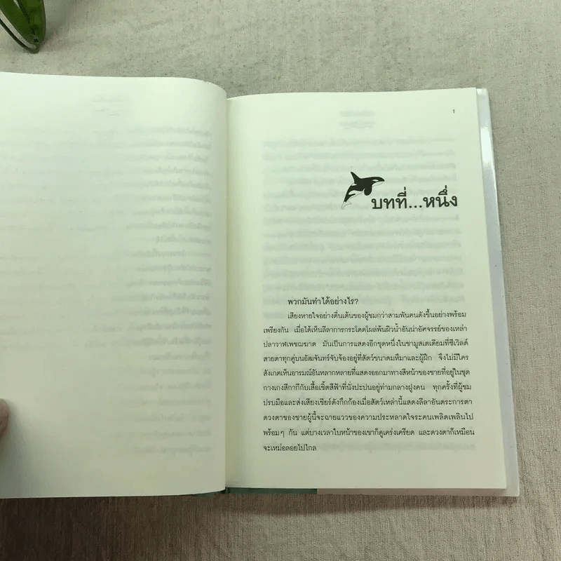 วาฬบอกเยี่ยม Whale Done! พลังแห่งความสัมพันธภาพด้านบวก รูปที่ 10