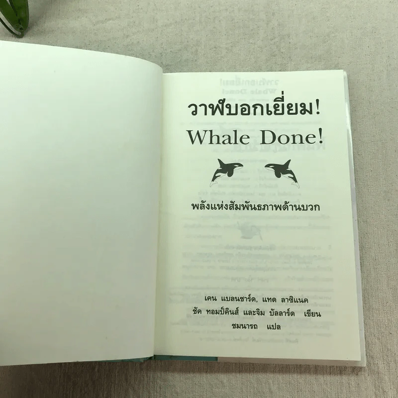 วาฬบอกเยี่ยม Whale Done! พลังแห่งความสัมพันธภาพด้านบวก รูปที่ 5