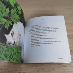 ข้าวคลุกปลาทู - อาทิตย์ยามเช้า เล่าเรื่อง, กิตติศัพท์ เขียนภาพ รูปที่ 13