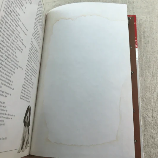 สุนัข คู่มือแนะนำสุนัขพันธุ์ต่างๆมากกว่า 300 พันธุ์จากทั่วโลก - David Alderton รูปที่ 11