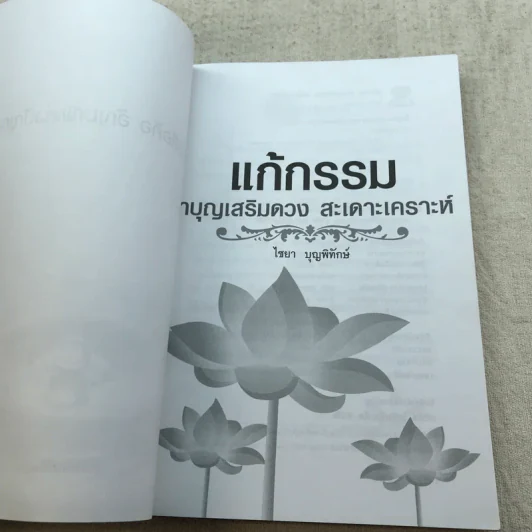 แก้กรรมทำบุญเสริมดวง สะเดาะเคราะห์ - ไชยา บุญพิทักษ์ รูปที่ 4