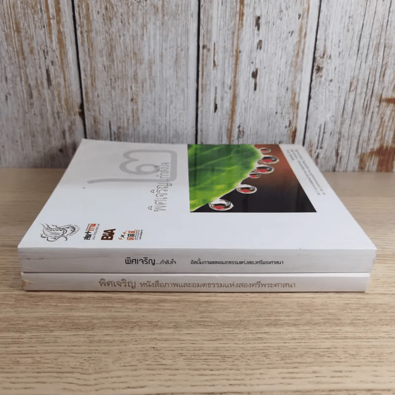 พิศเจริญ เล่ม 1-2 อัลบั้มภาพและอมตธรรมแห่งสองศรีพระศาสนา รูปที่ 2