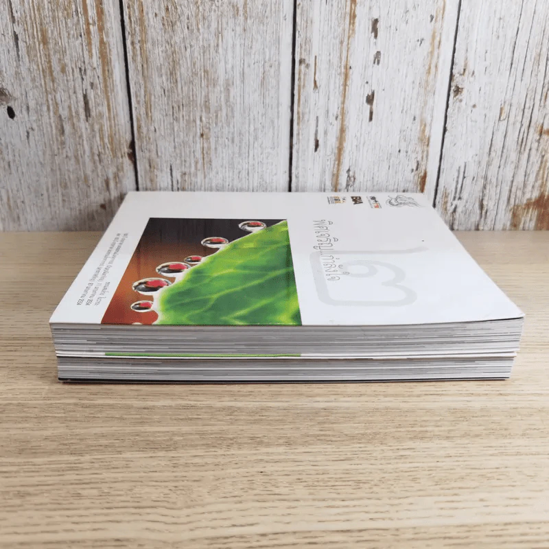 พิศเจริญ เล่ม 1-2 อัลบั้มภาพและอมตธรรมแห่งสองศรีพระศาสนา รูปที่ 4