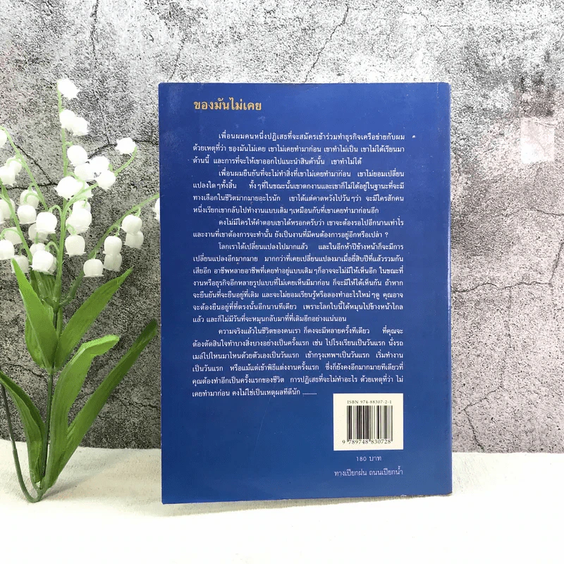 ทางเปียกฝน ถนนเปียกน้ำ เล่ม 1 - พิบูลย์ ดิษฐอุดม รูปที่ 11