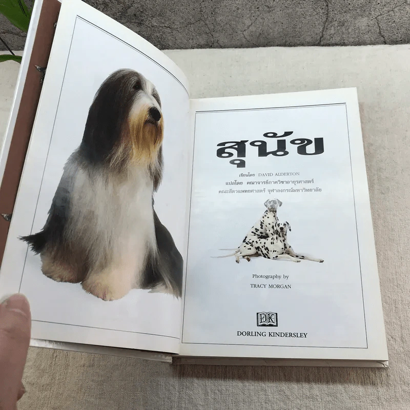 สุนัข คู่มือแนะนำสุนัขพันธุ์ต่างๆมากกว่า 300 พันธุ์จากทั่วโลก - David Alderton รูปที่ 5