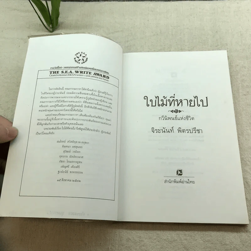 ใบไม้ที่หายไป - จิระนันท์ พิตรปรีชา รูปที่ 5