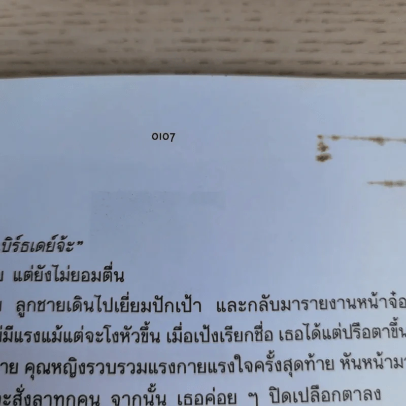 ข้าวคลุกปลาทู - อาทิตย์ยามเช้า เล่าเรื่อง, กิตติศัพท์ เขียนภาพ รูปที่ 14