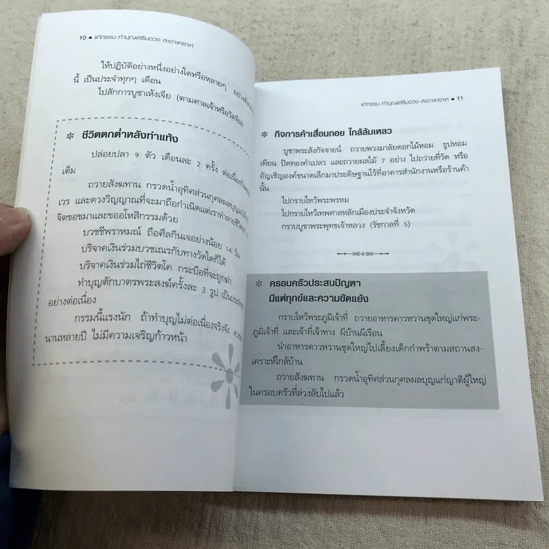 แก้กรรมทำบุญเสริมดวง สะเดาะเคราะห์ - ไชยา บุญพิทักษ์ รูปที่ 8
