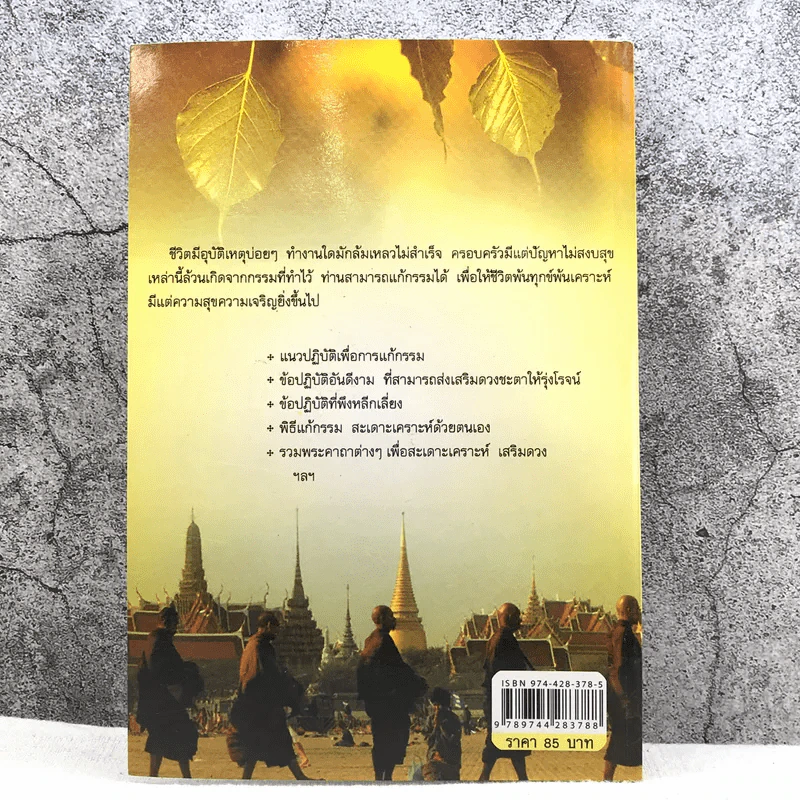แก้กรรมทำบุญเสริมดวง สะเดาะเคราะห์ - ไชยา บุญพิทักษ์ รูปที่ 10