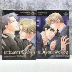 แว่นตาพิศวง 4 ภาค จบในเล่มทุกเล่ม รูปที่ 8
