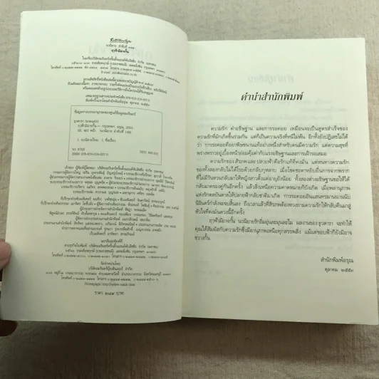ฤาฟ้ามิอาจกั้น - ธุวดารา รูปที่ 7