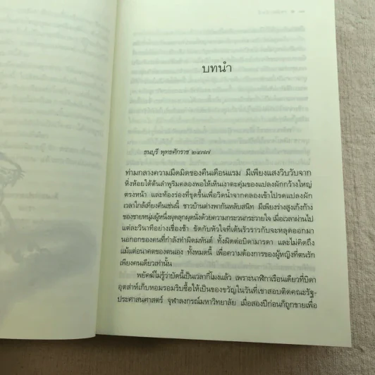 ชุดเลือดทระนง เพลิงพยัคฆ์ - ณารา รูปที่ 12